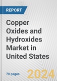 Copper Oxides and Hydroxides Market in United States: Business Report 2024- Product Image