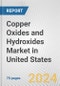 Copper Oxides and Hydroxides Market in United States: Business Report 2024 - Product Image