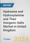 Hydrazine and Hydroxylamine and Their Inorganic Salts Market in United Kingdom: Business Report 2024 - Product Thumbnail Image