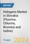 Halogens Market in Slovakia (Fluorine, Chlorine, Bromine and Iodine): Business Report 2024 - Product Image