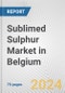 Sublimed Sulphur Market in Belgium: Business Report 2024 - Product Thumbnail Image