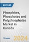 Phosphites, Phosphates and Polyphosphates Market in Canada: Business Report 2024 - Product Image