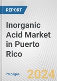 Inorganic Acid Market in Puerto Rico: Business Report 2024- Product Image