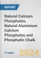 Natural Calcium Phosphates, Natural Aluminium Calcium Phosphates and Phosphatic Chalk: European Union Market Outlook 2023-2027 - Product Thumbnail Image