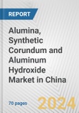 Alumina, Synthetic Corundum and Aluminum Hydroxide Market in China: Business Report 2024- Product Image