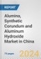 Alumina, Synthetic Corundum and Aluminum Hydroxide Market in China: Business Report 2024 - Product Image