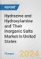 Hydrazine and Hydroxylamine and Their Inorganic Salts Market in United States: Business Report 2024 - Product Thumbnail Image