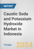 Caustic Soda and Potassium Hydroxide Market in Indonesia: Business Report 2024- Product Image