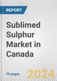 Sublimed Sulphur Market in Canada: Business Report 2024- Product Image