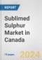 Sublimed Sulphur Market in Canada: Business Report 2024 - Product Image