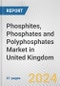 Phosphites, Phosphates and Polyphosphates Market in United Kingdom: Business Report 2024 - Product Image