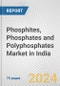 Phosphites, Phosphates and Polyphosphates Market in India: Business Report 2024 - Product Image
