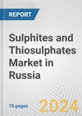 Sulphites and Thiosulphates Market in Russia: Business Report 2024- Product Image