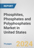 Phosphites, Phosphates and Polyphosphates Market in United States: Business Report 2024- Product Image