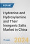Hydrazine and Hydroxylamine and Their Inorganic Salts Market in China: Business Report 2024 - Product Thumbnail Image