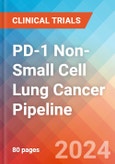 PD-1 Non-Small Cell Lung Cancer (PD-1+ NSCLC) - Pipeline Insight, 2024- Product Image