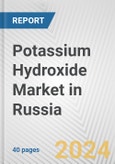 Potassium Hydroxide Market in Russia: 2017-2023 Review and Forecast to 2027- Product Image