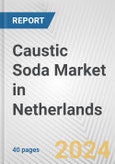 Caustic Soda Market in Netherlands: 2017-2023 Review and Forecast to 2027- Product Image