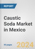 Caustic Soda Market in Mexico: 2017-2023 Review and Forecast to 2027- Product Image