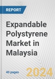 Expandable Polystyrene Market in Malaysia: 2017-2023 Review and Forecast to 2027- Product Image