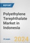 Polyethylene Terephthalate Market in Indonesia: 2017-2023 Review and Forecast to 2027 - Product Image