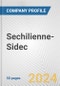 Sechilienne-Sidec Fundamental Company Report Including Financial, SWOT, Competitors and Industry Analysis - Product Thumbnail Image