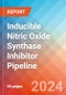 Inducible Nitric Oxide Synthase (iNOS or Type II NOS) Inhibitor - Pipeline Insight, 2024 - Product Image