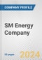 SM Energy Company Fundamental Company Report Including Financial, SWOT, Competitors and Industry Analysis - Product Thumbnail Image