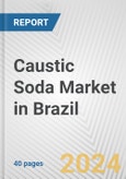Caustic Soda Market in Brazil: 2017-2023 Review and Forecast to 2027- Product Image