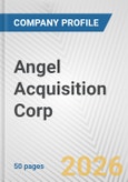 Angel Acquisition Corp. Fundamental Company Report Including Financial, SWOT, Competitors and Industry Analysis- Product Image