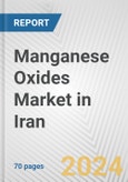 Manganese Oxides Market in Iran: Business Report 2024- Product Image