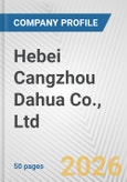 Hebei Cangzhou Dahua Co., Ltd. Fundamental Company Report Including Financial, SWOT, Competitors and Industry Analysis- Product Image