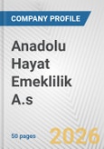 Anadolu Hayat Emeklilik A.s Fundamental Company Report Including Financial, SWOT, Competitors and Industry Analysis- Product Image