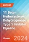 11 Beta-Hydroxysteroid Dehydrogenase Type 1 (11ßHSD1) Inhibitor - Pipeline Insight, 2024 - Product Image