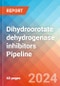 Dihydroorotate dehydrogenase inhibitors - Pipeline Insight, 2024 - Product Thumbnail Image