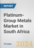 Platinum-Group Metals Market in South Africa: 2017-2023 Review and Forecast to 2027- Product Image