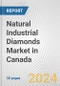 Natural Industrial Diamonds Market in Canada: 2017-2023 Review and Forecast to 2027 - Product Image