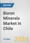 Boron Minerals Market in Chile: 2017-2023 Review and Forecast to 2027 - Product Image
