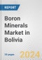 Boron Minerals Market in Bolivia: 2017-2023 Review and Forecast to 2027 - Product Image