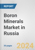 Boron Minerals Market in Russia: 2017-2023 Review and Forecast to 2027- Product Image