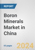 Boron Minerals Market in China: 2017-2023 Review and Forecast to 2027- Product Image