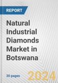 Natural Industrial Diamonds Market in Botswana: 2017-2023 Review and Forecast to 2027- Product Image