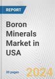 Boron Minerals Market in USA: 2017-2023 Review and Forecast to 2027- Product Image