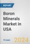 Boron Minerals Market in USA: 2017-2023 Review and Forecast to 2027 - Product Thumbnail Image