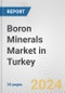 Boron Minerals Market in Turkey: 2017-2023 Review and Forecast to 2027 - Product Thumbnail Image