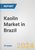Kaolin Market in Brazil: 2017-2023 Review and Forecast to 2027- Product Image