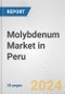 Molybdenum Market in Peru: 2017-2023 Review and Forecast to 2027 - Product Image