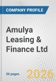 Amulya Leasing & Finance Ltd. Fundamental Company Report Including Financial, SWOT, Competitors and Industry Analysis- Product Image