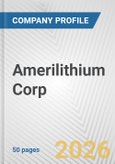 Amerilithium Corp. Fundamental Company Report Including Financial, SWOT, Competitors and Industry Analysis- Product Image