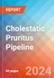 Cholestatic Pruritus - Pipeline Insight, 2024 - Product Image